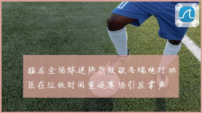 猛龙全场球迷热烈致敬洛瑞绝对功臣在垃圾时间重返赛场引发掌声