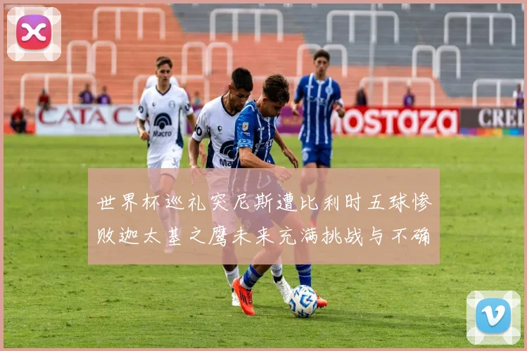 世界杯巡礼突尼斯遭比利时五球惨败迦太基之鹰未来充满挑战与不确定性