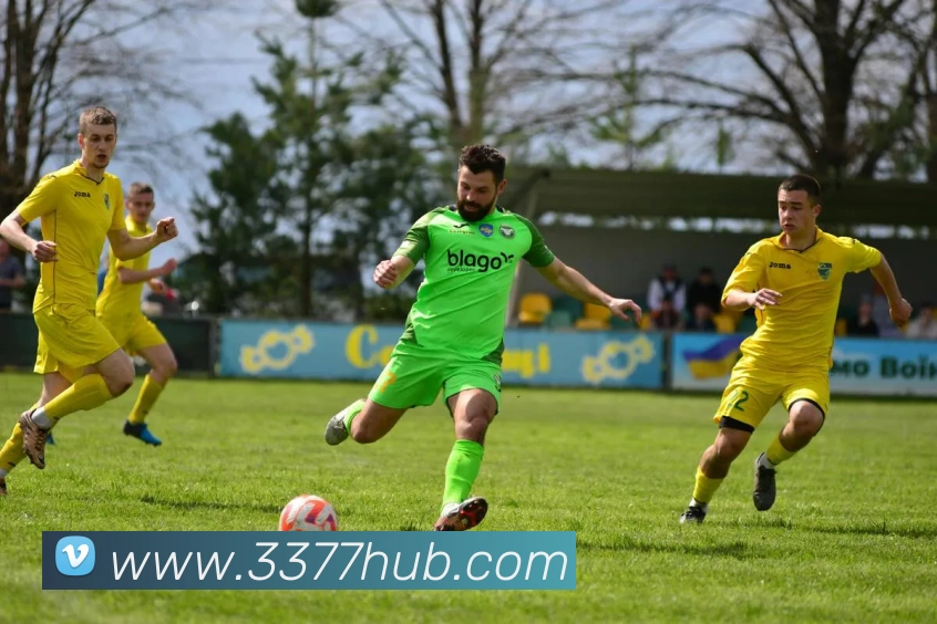 3377体育发展历程